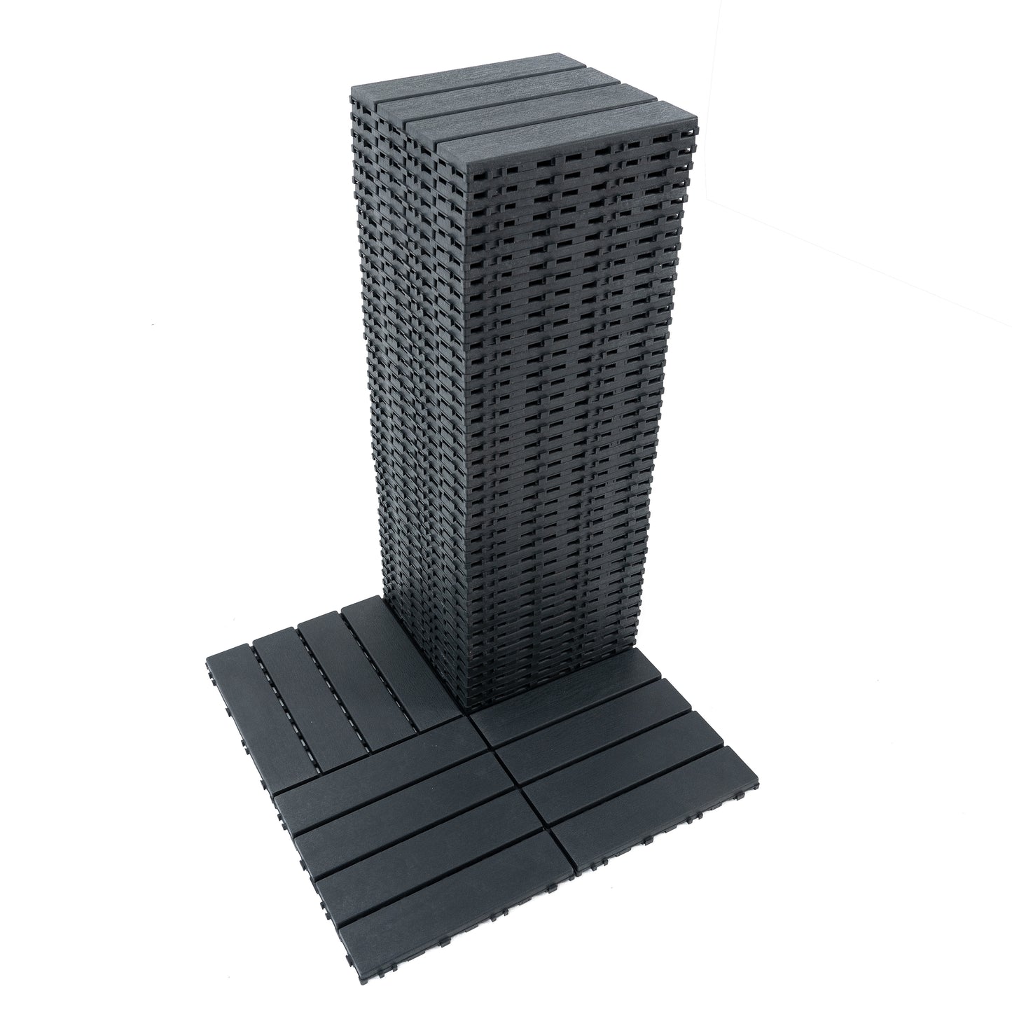 25545008
