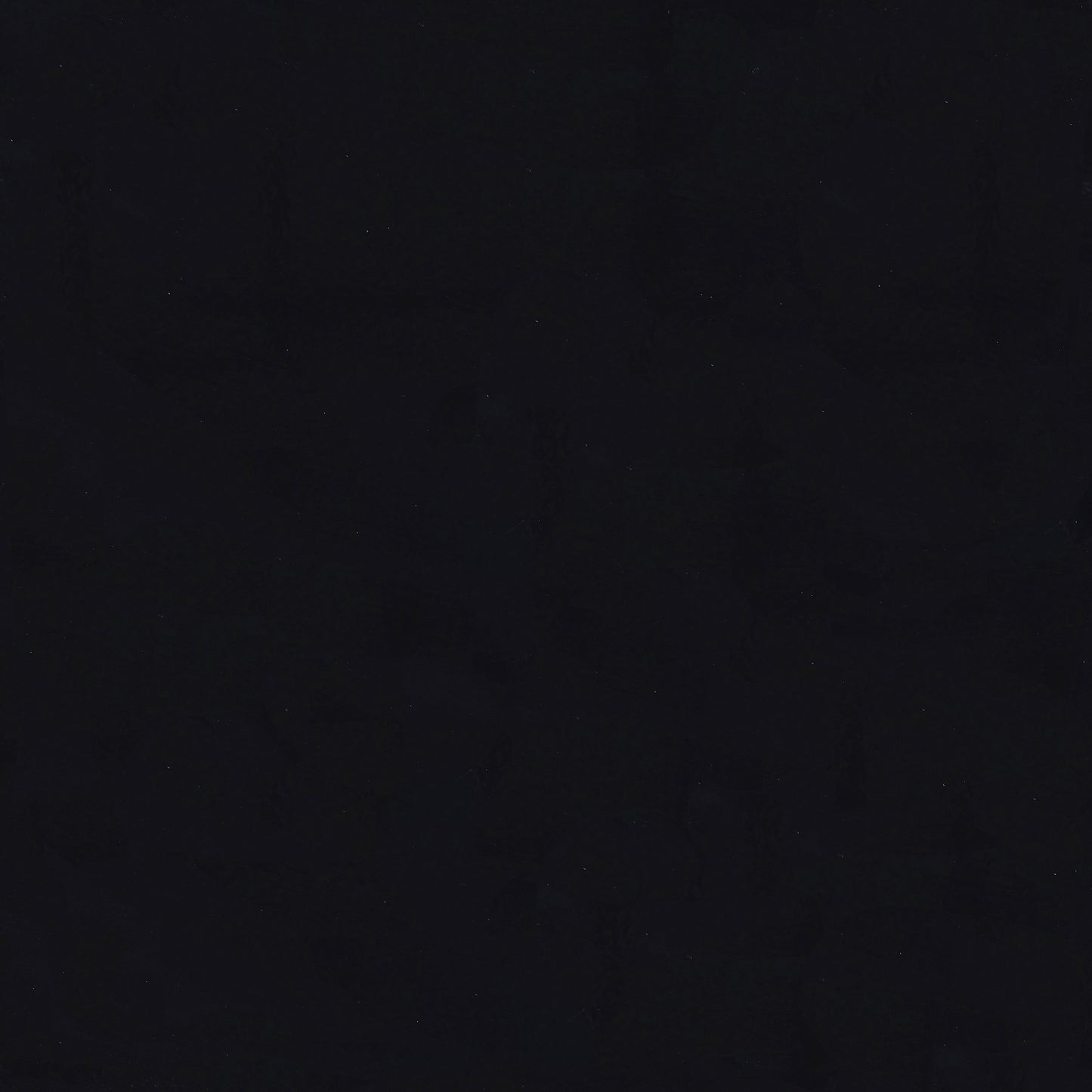 25338478