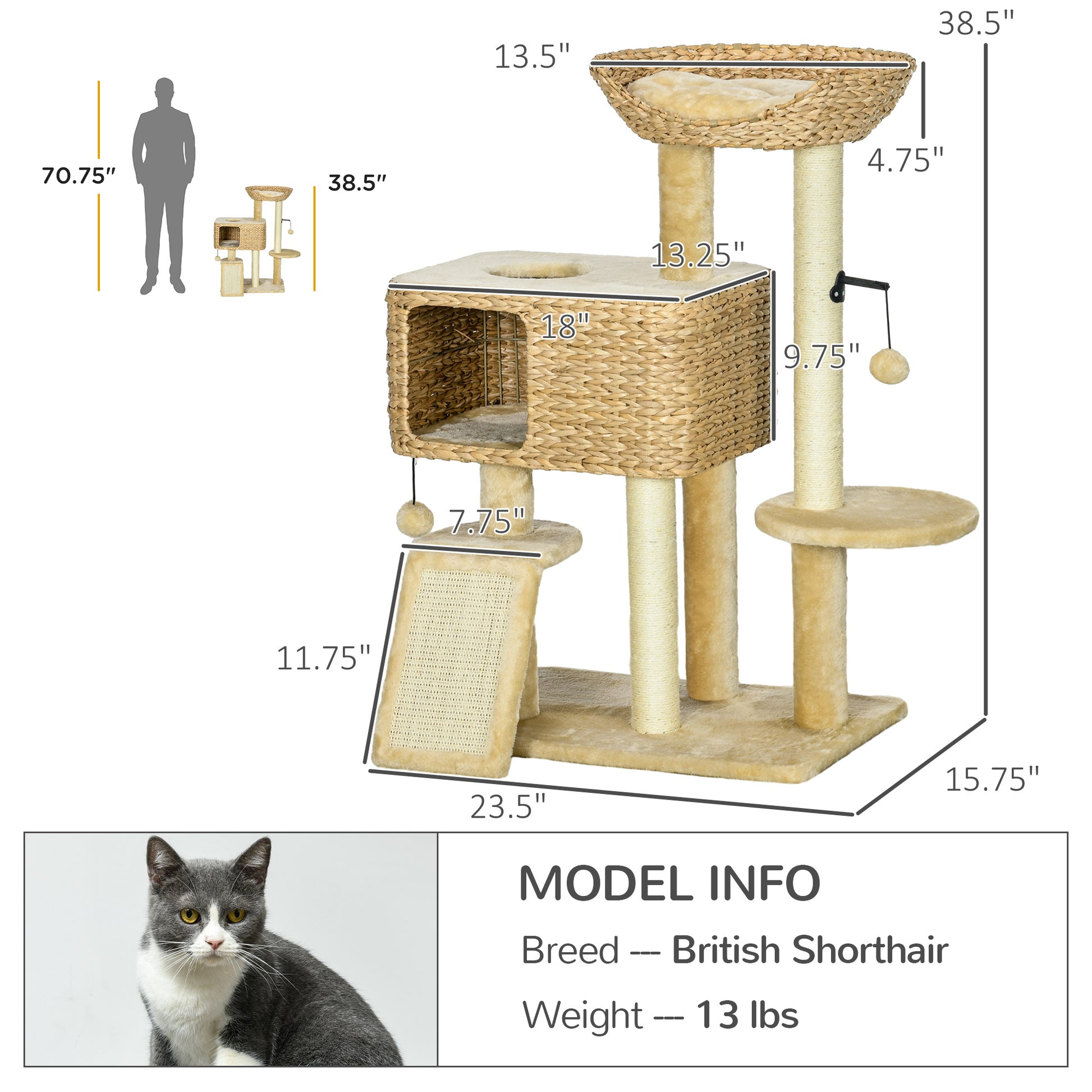 25541610