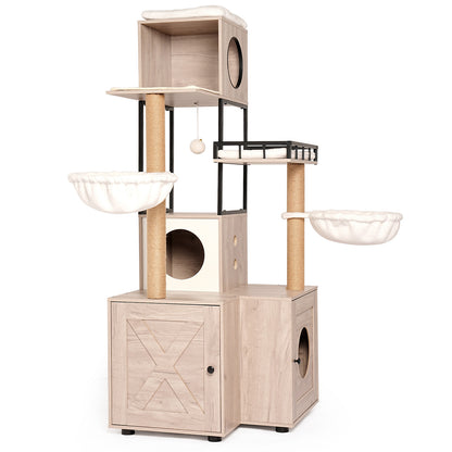 25541437