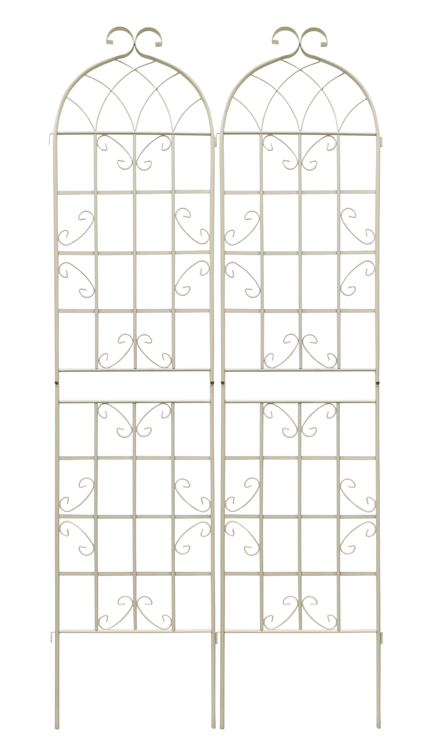 25544398