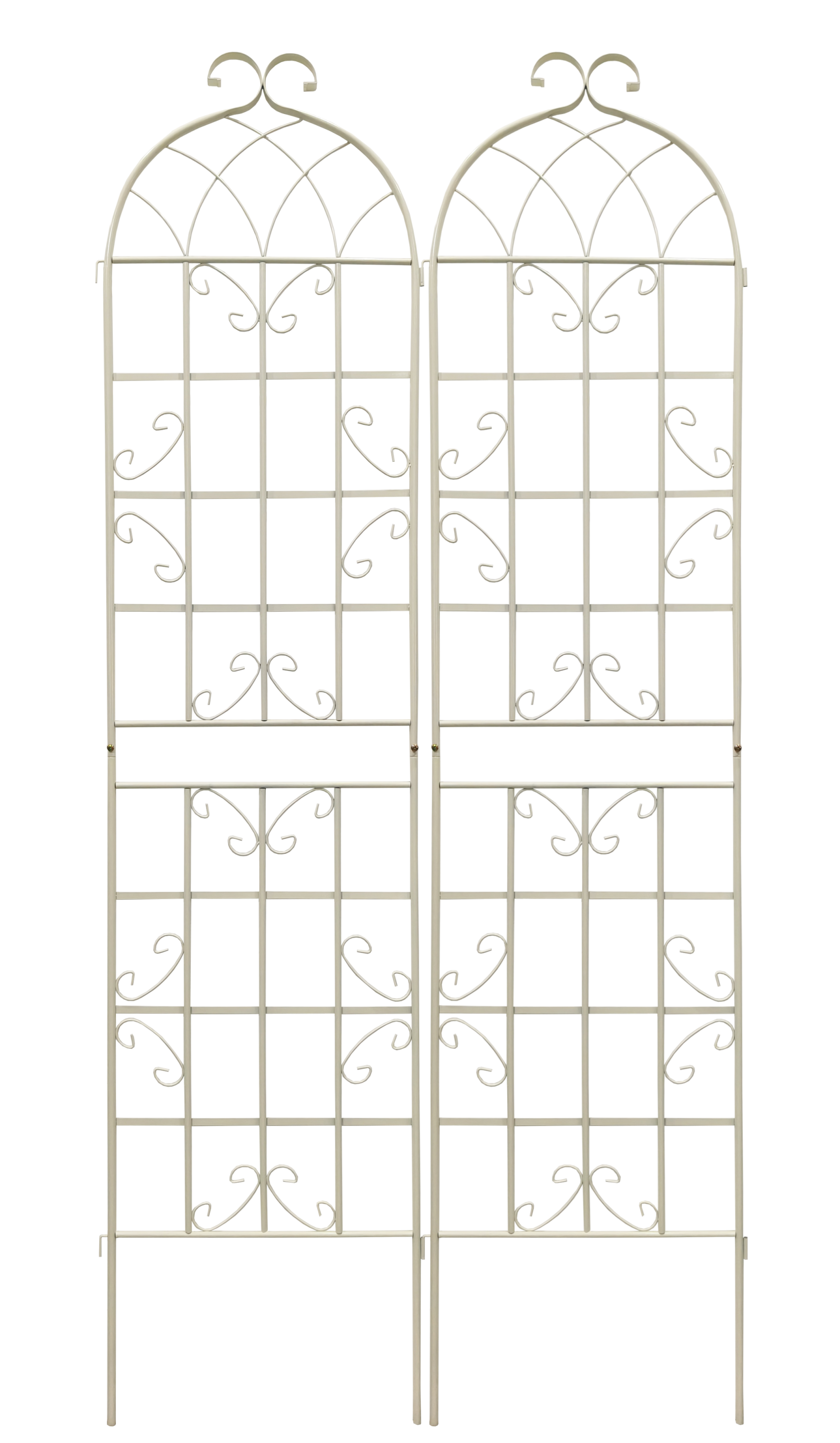 25544398
