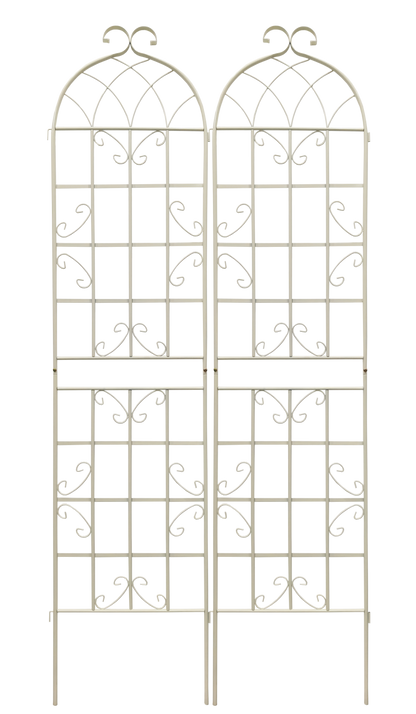 25544398