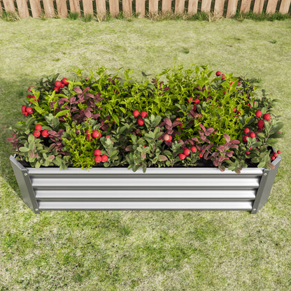 Raised Garden Bed 4x2-X-1ft Silver