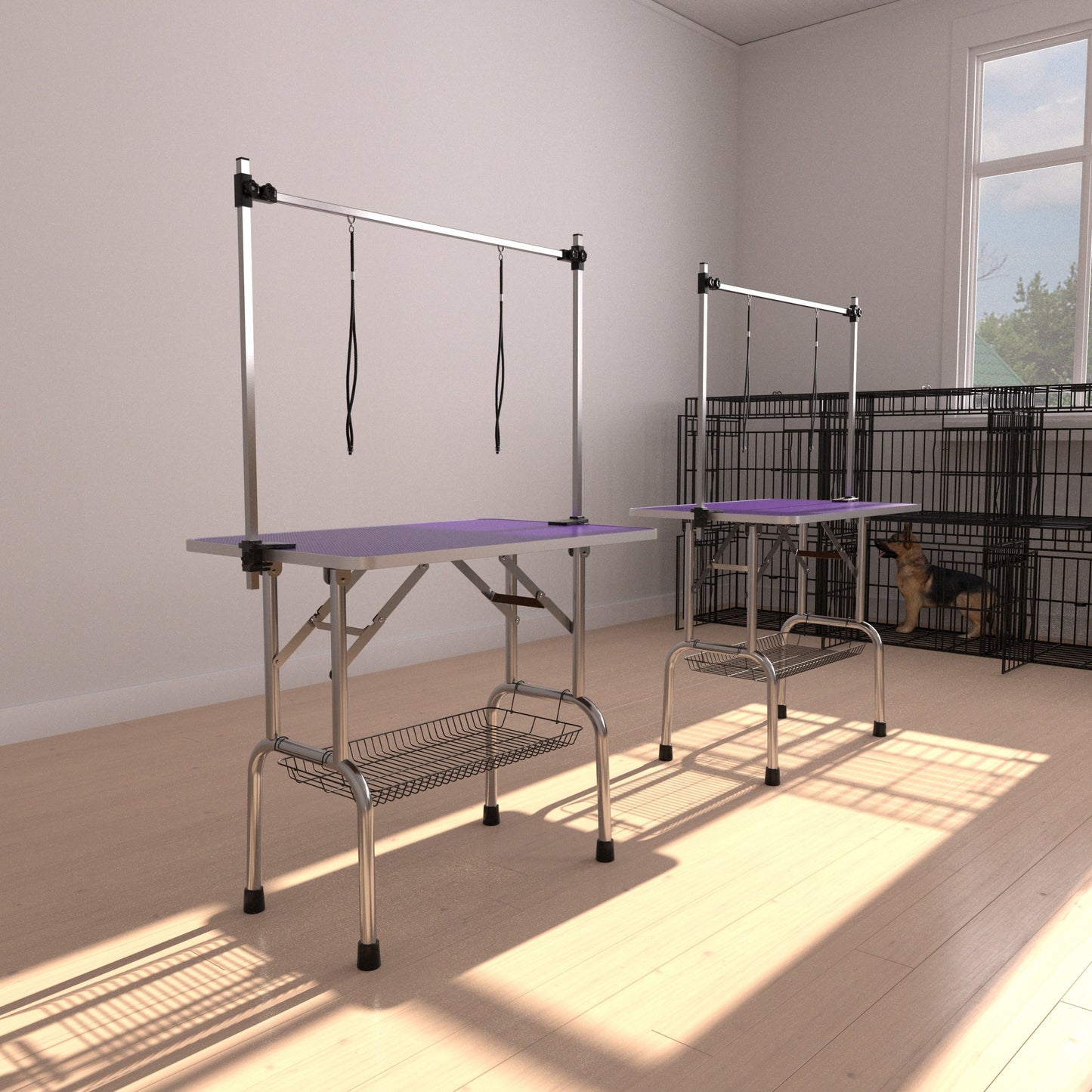 25539242