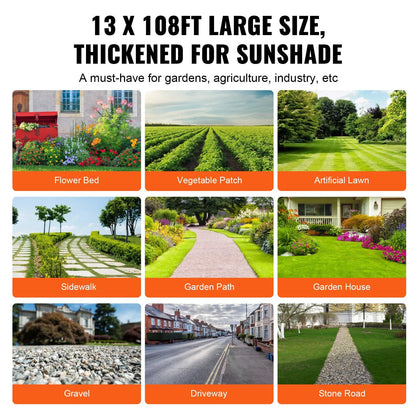 25544829