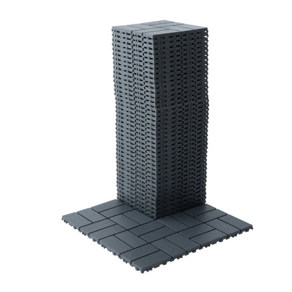 25545040