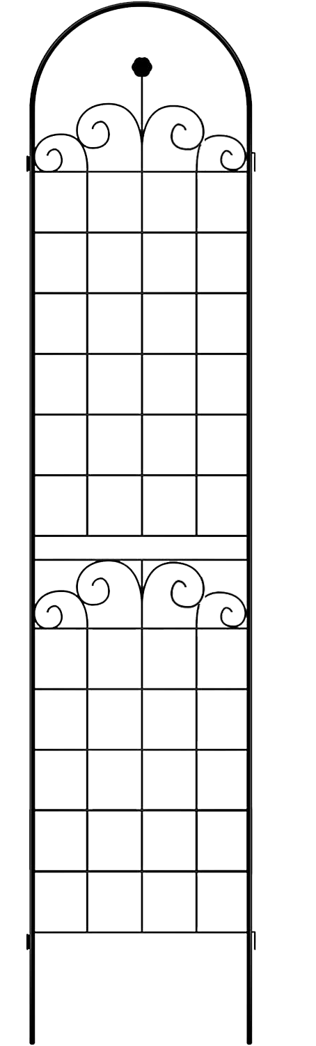 25544535