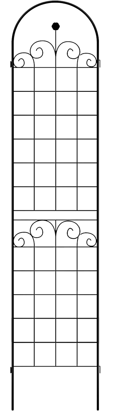 25544535