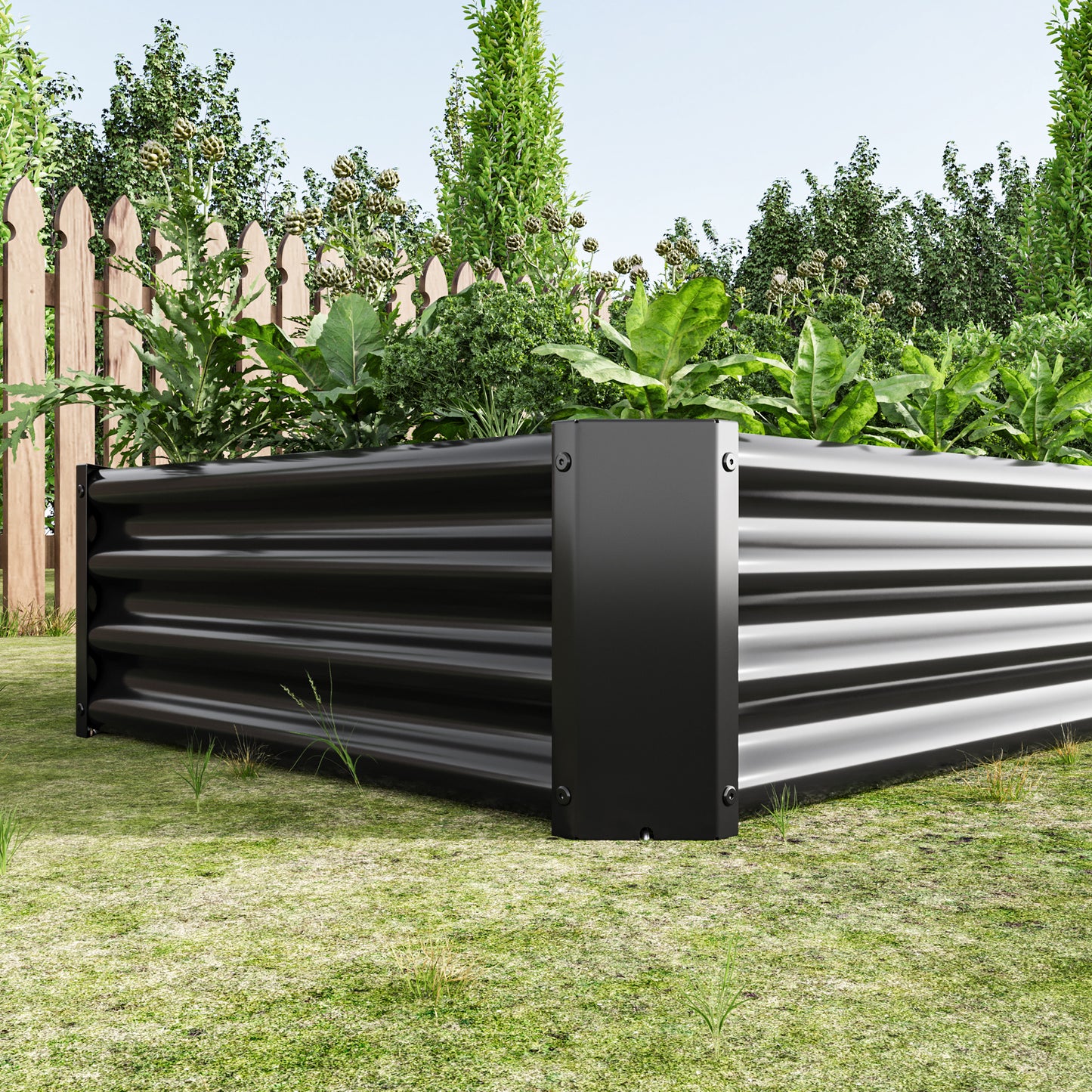 25544204