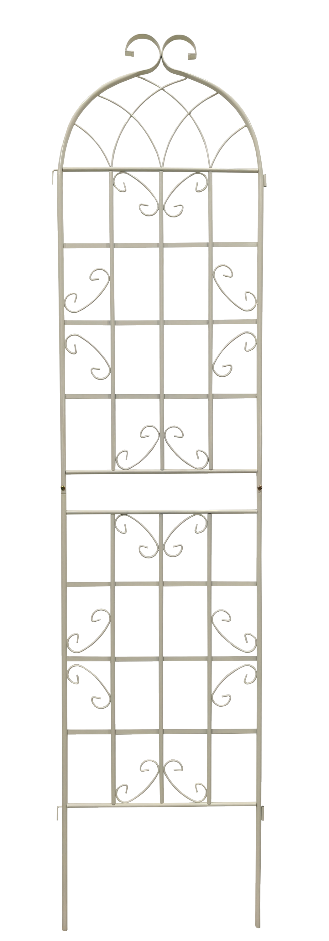 25544397