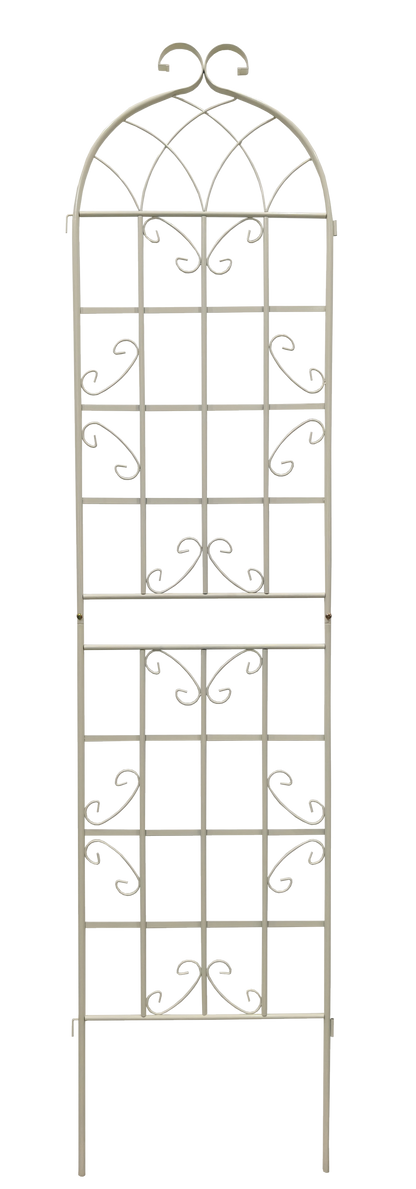 25544397