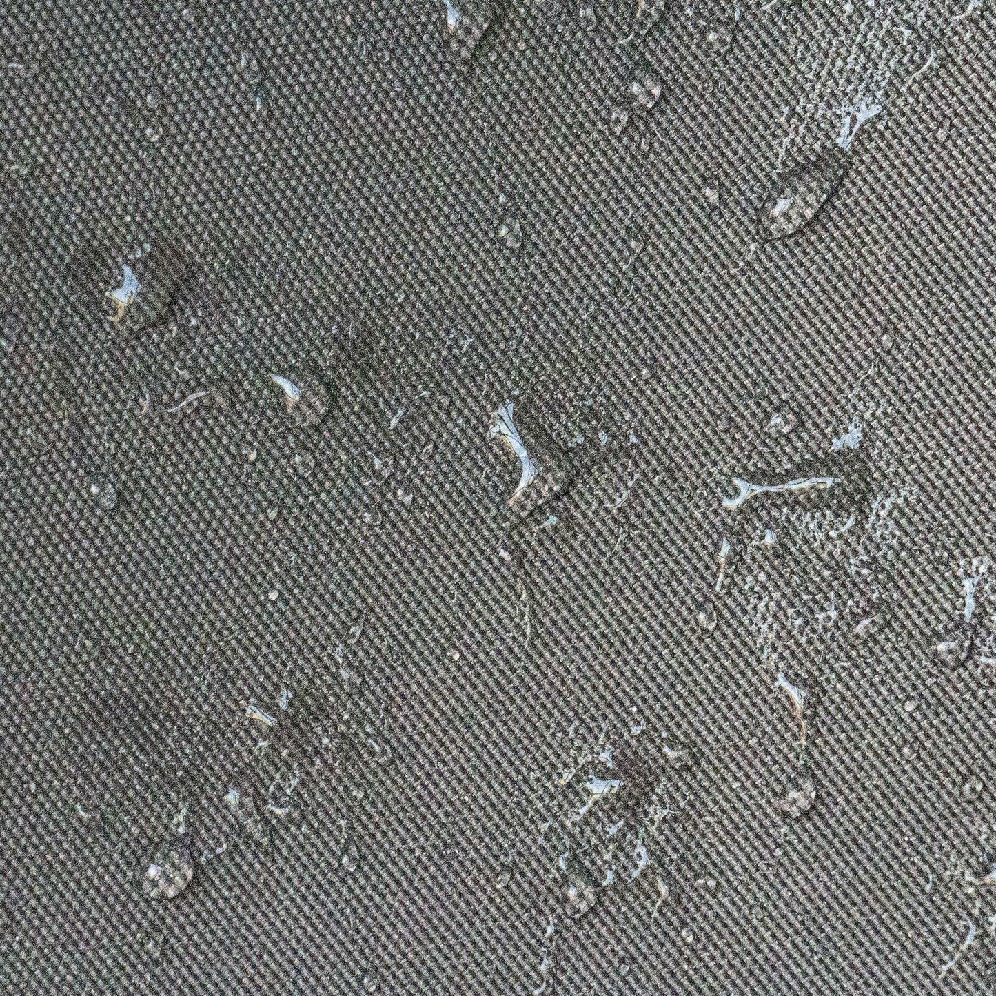 25542743