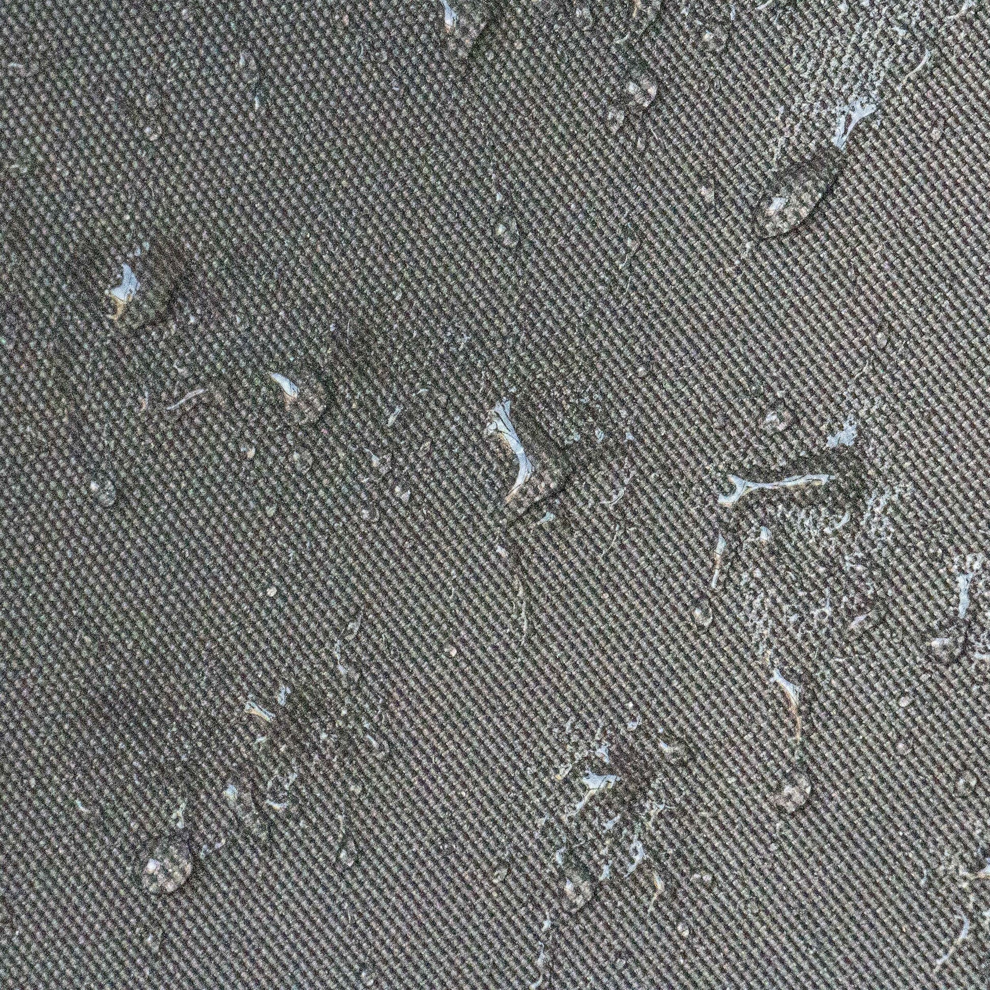25542743